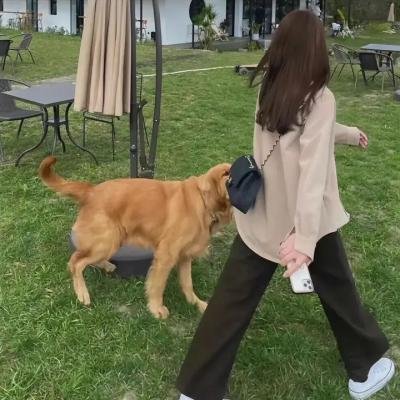 小女不听将军令